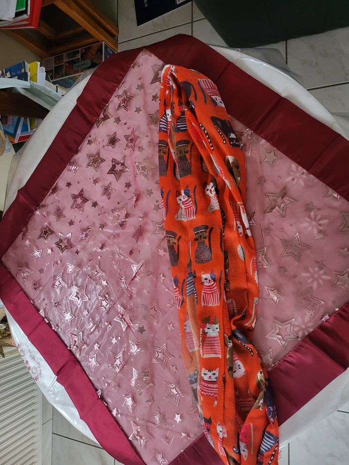 Écharpe de chats 🐱 - photo numéro 2