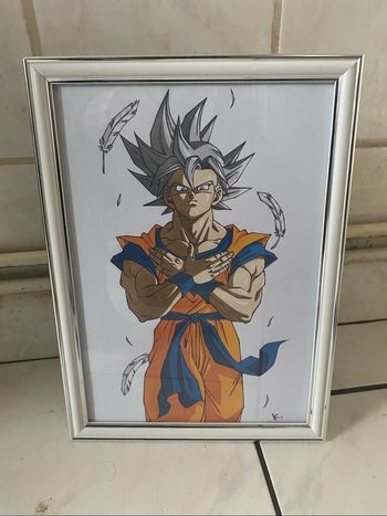 Cadre dragon ball
