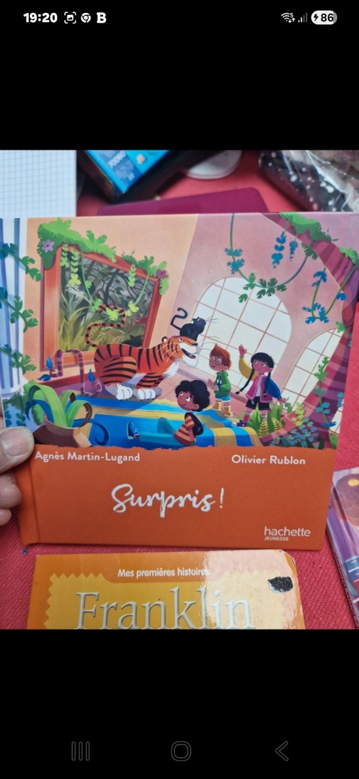 Lot livre - photo numéro 6