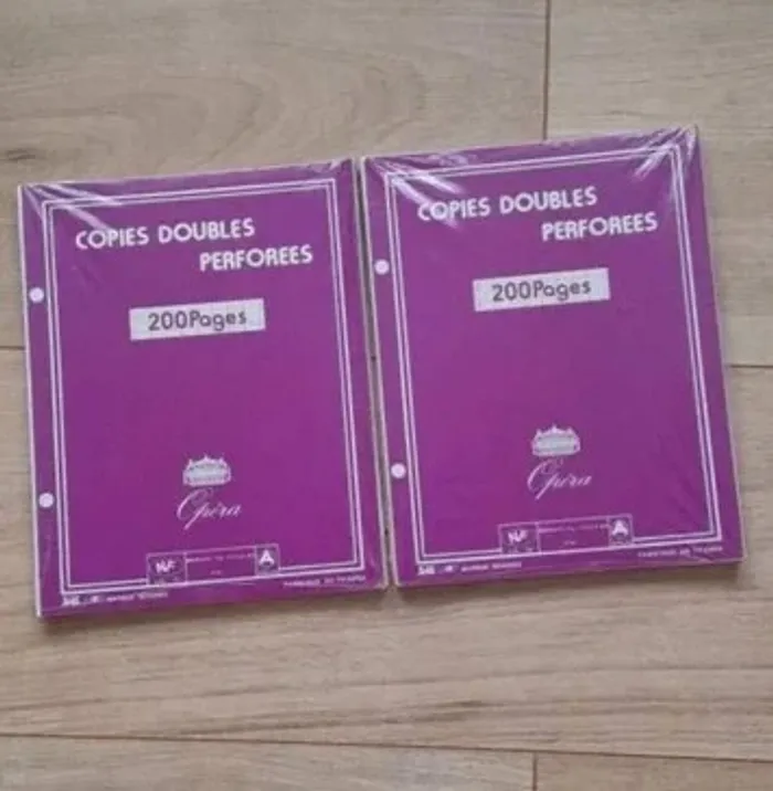 Lots de 2 paquets copies doubles perforées petit format