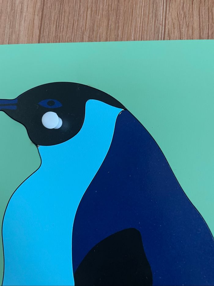 Puzzle Zoologie Montessori : le manchot - photo numéro 3