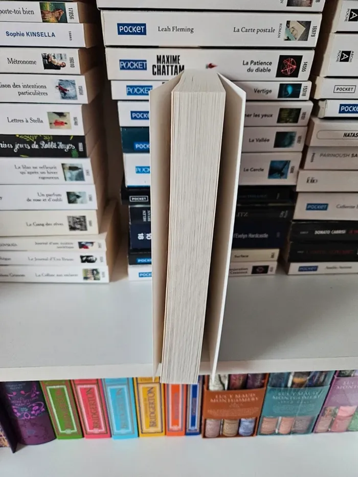 Livre gf j'ai poussé le père Noël du traîneau - photo numéro 3