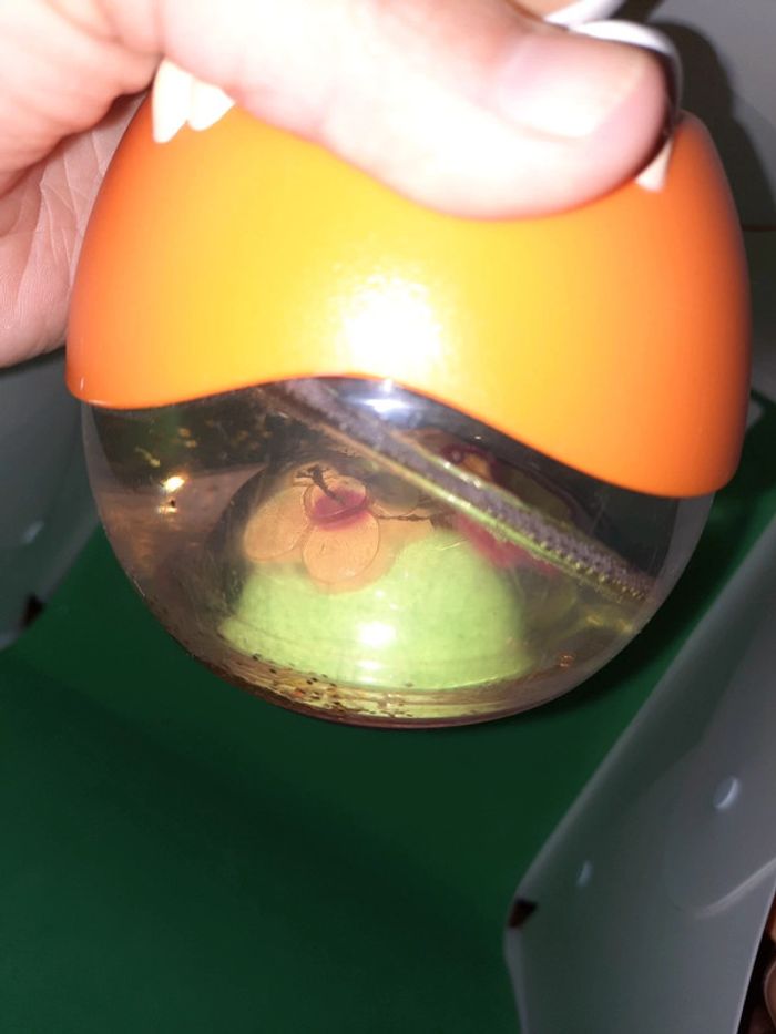 Culbuto cotoons - photo numéro 3