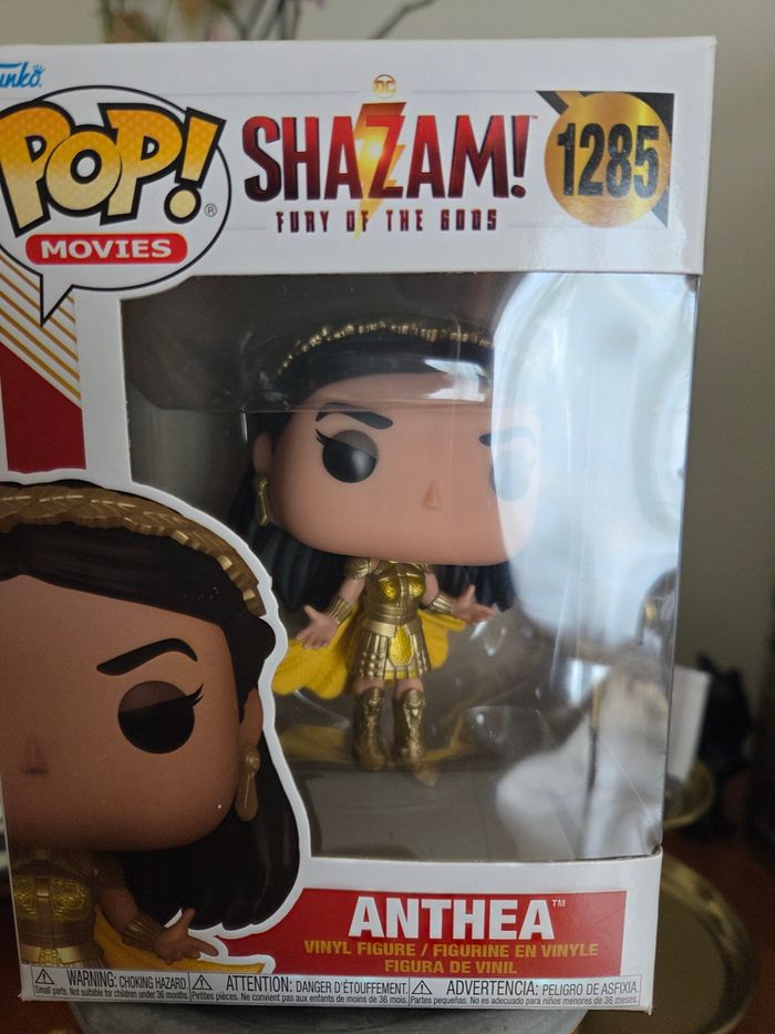 Pop Shazam Anthea - photo numéro 3