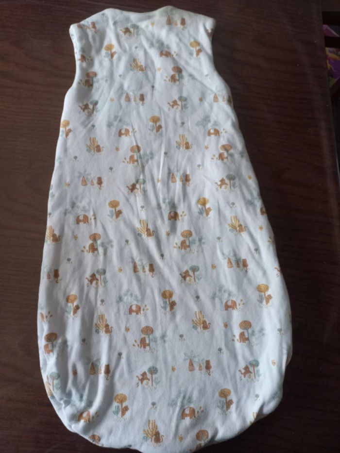 Turbulette/Gigoteuse mi-saison 0-6mois réversible - photo numéro 2