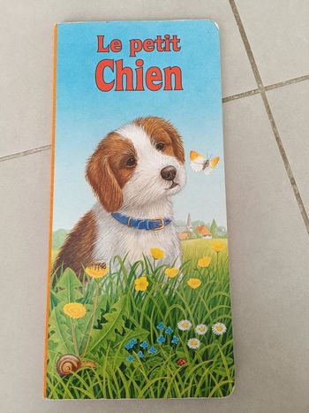 Livre grand format le petit chien