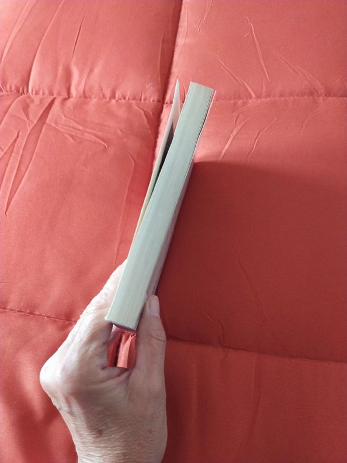 Où es tu? Par Marc Lévy - photo numéro 5