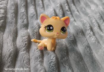 Petshop  chat 1649