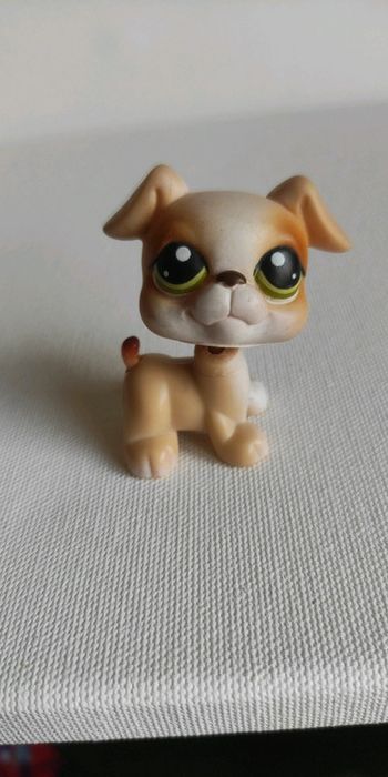 My littlest petshop chien lps boxer 235