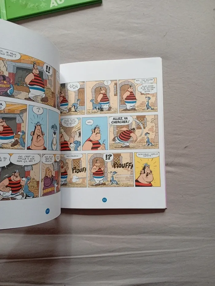 BD Idéfix - photo numéro 4