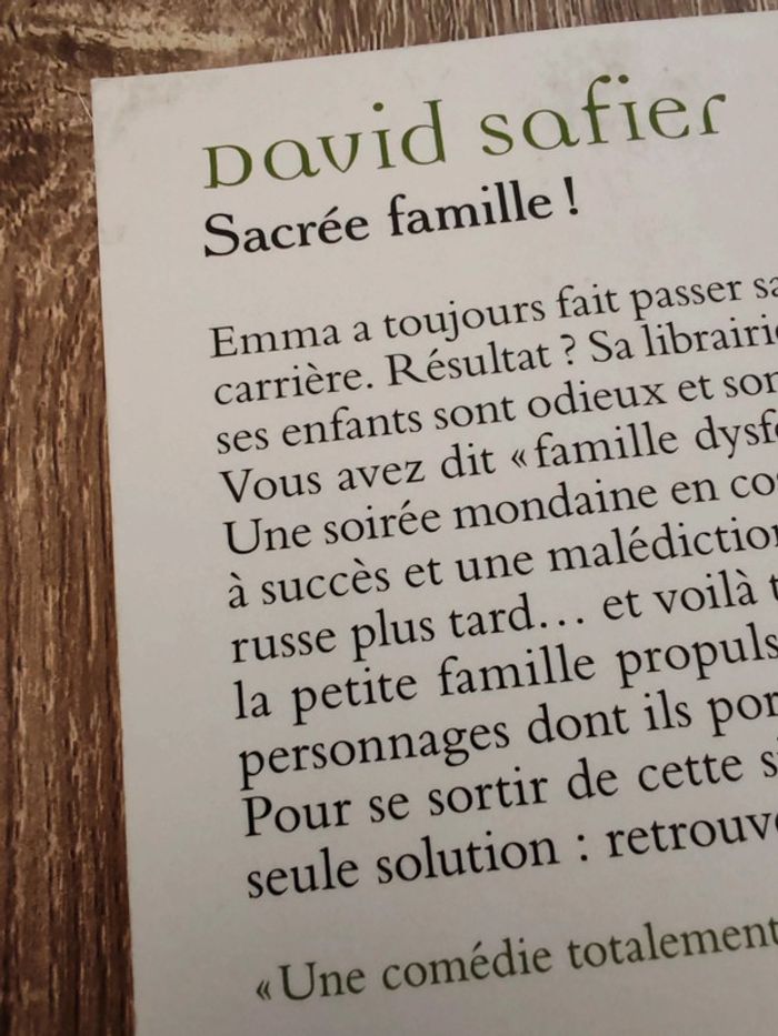 David Safier 🟣 Sacrée famille - photo numéro 3