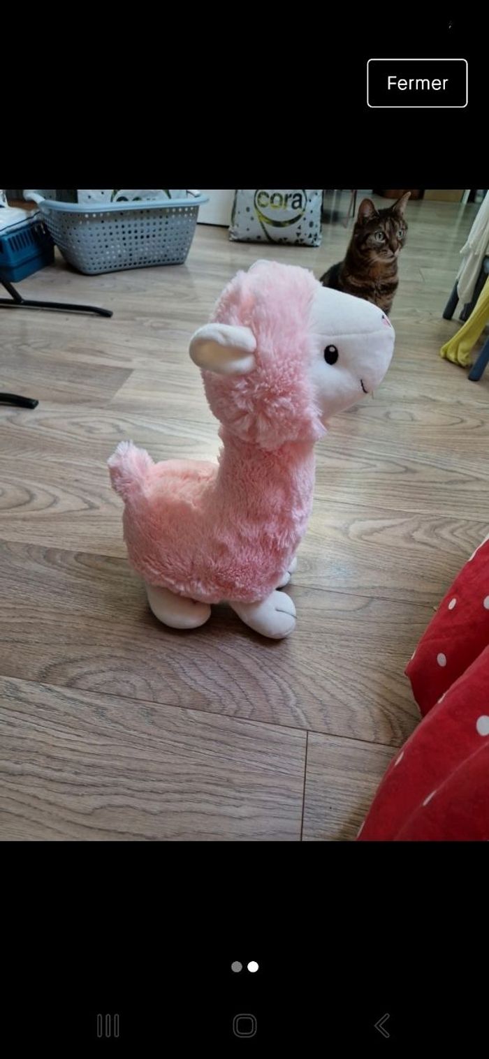 Lama