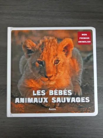 Livre Les Bébés Animaux Sauvages TBE