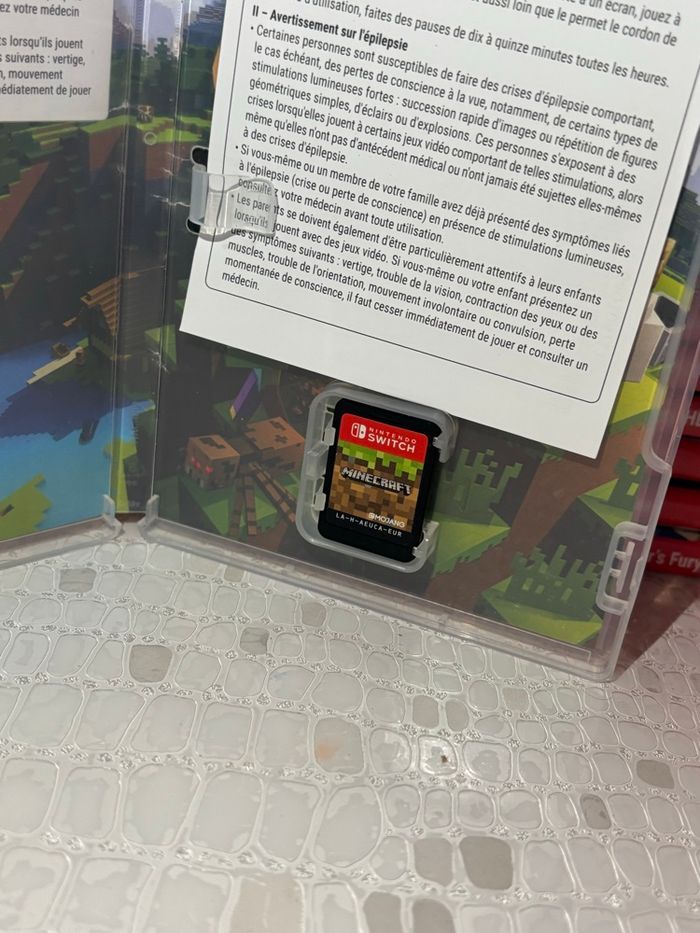Minecraft switch - photo numéro 2