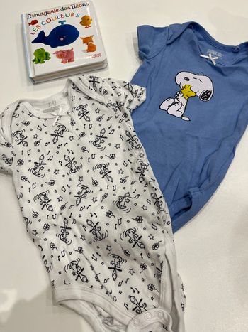 Lot de 2 bodys manches courtes