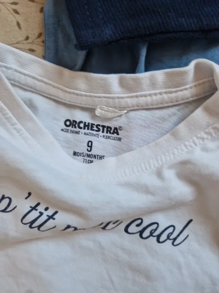 Lot vêtements manches longues 9 mois - photo numéro 6