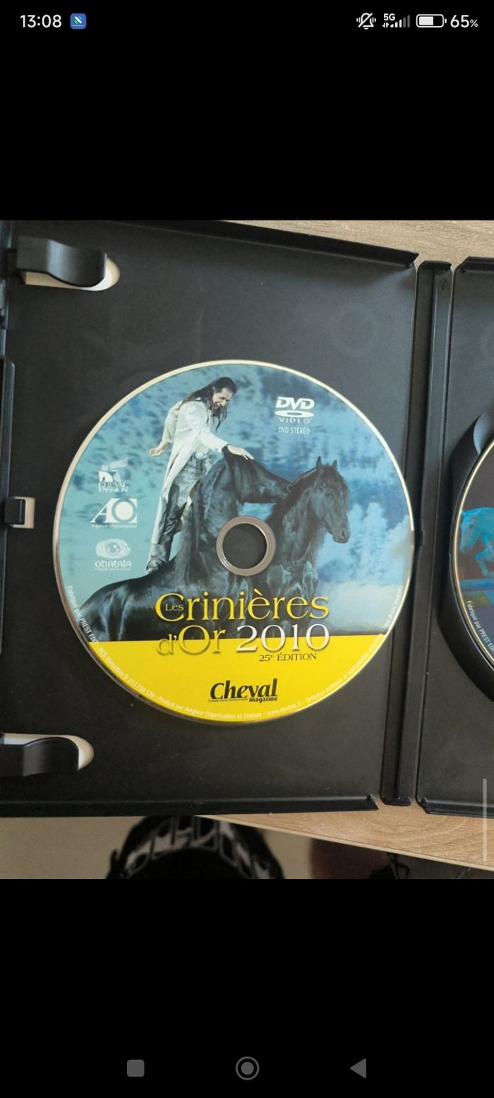 DVD les crinière d'or sans boîte d'origine - photo numéro 2