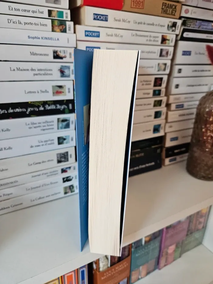 Livre les plus beaux jours de nos vies - photo numéro 3