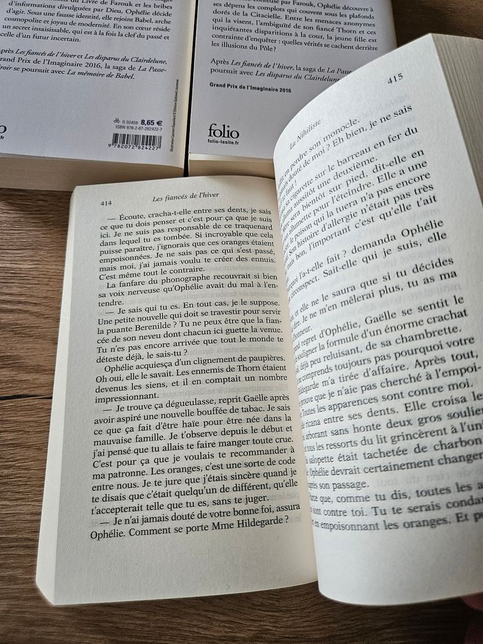 La passe-miroir de Christelle Dabos (3 tomes) - photo numéro 7