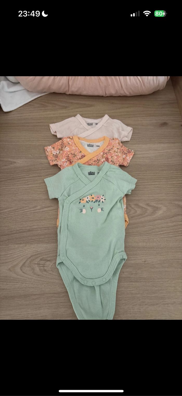 Lot 3 bodies