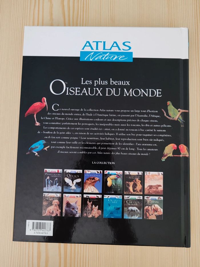 Les plus beaux oiseaux du monde 🦜 - photo numéro 2