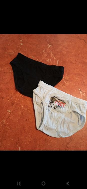 Lot de 2 slips garçon taille 4 ans