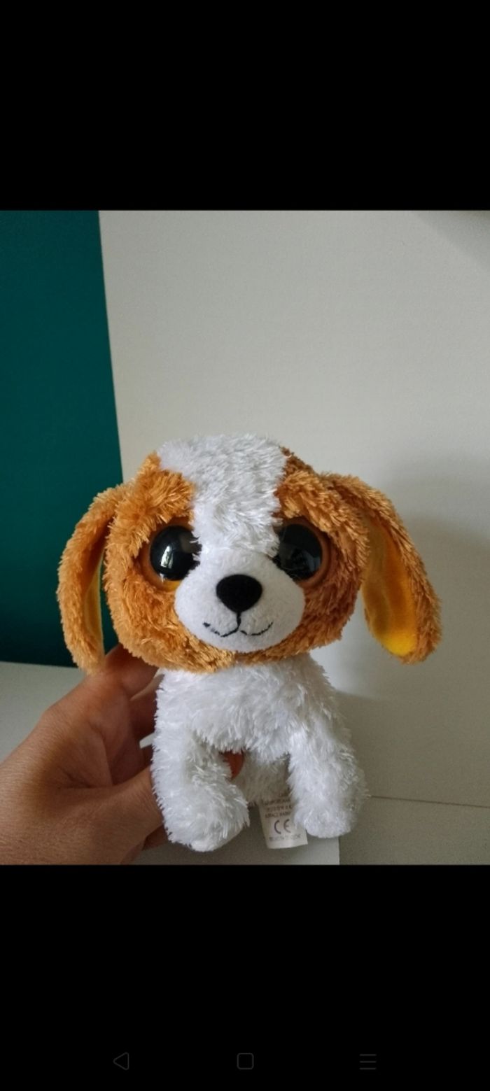 Chien ty