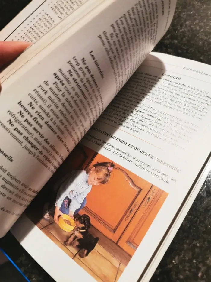 Livre " Mon chien, le Yorshire" - photo numéro 5