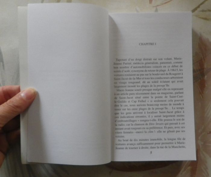 Août mortel baie des Ebihens de Sylvie Vadis Breizh Noir - photo numéro 5