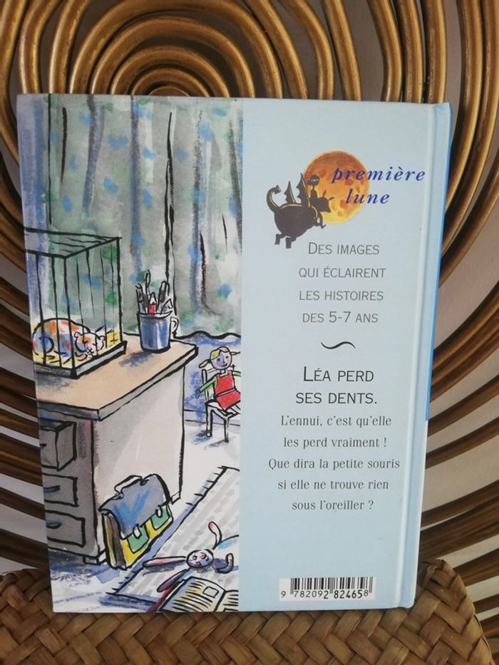 Livre CP lecteur débutant - photo numéro 2