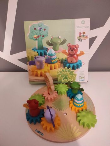 jeux d'engrenage woodytwist djeco