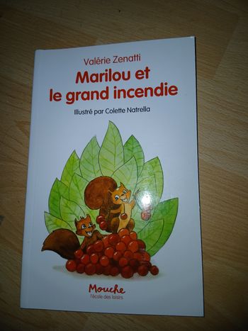 Marilou et le grand incendie
