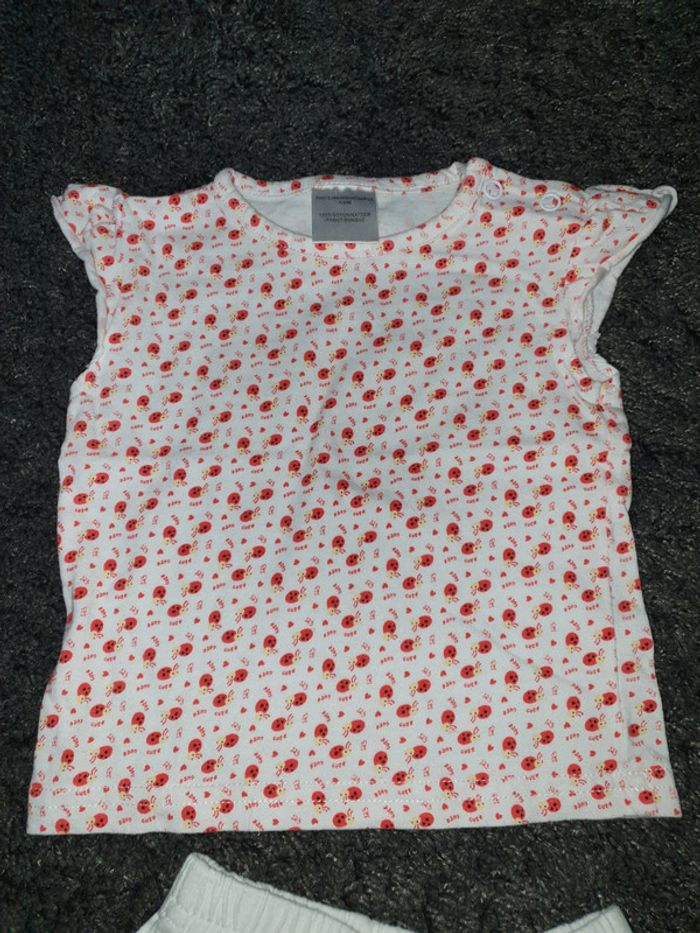 Ensemble 3 pièces neuf short + T-shirt + tunique 6 mois - photo numéro 2