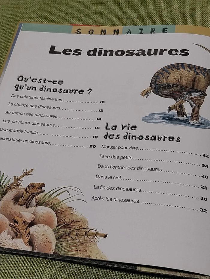 Les dinosaures livre enfant jeunesse Larousse - photo numéro 2