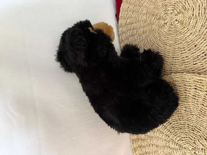 Wild Republic Peluche - Ours Noir - photo numéro 7