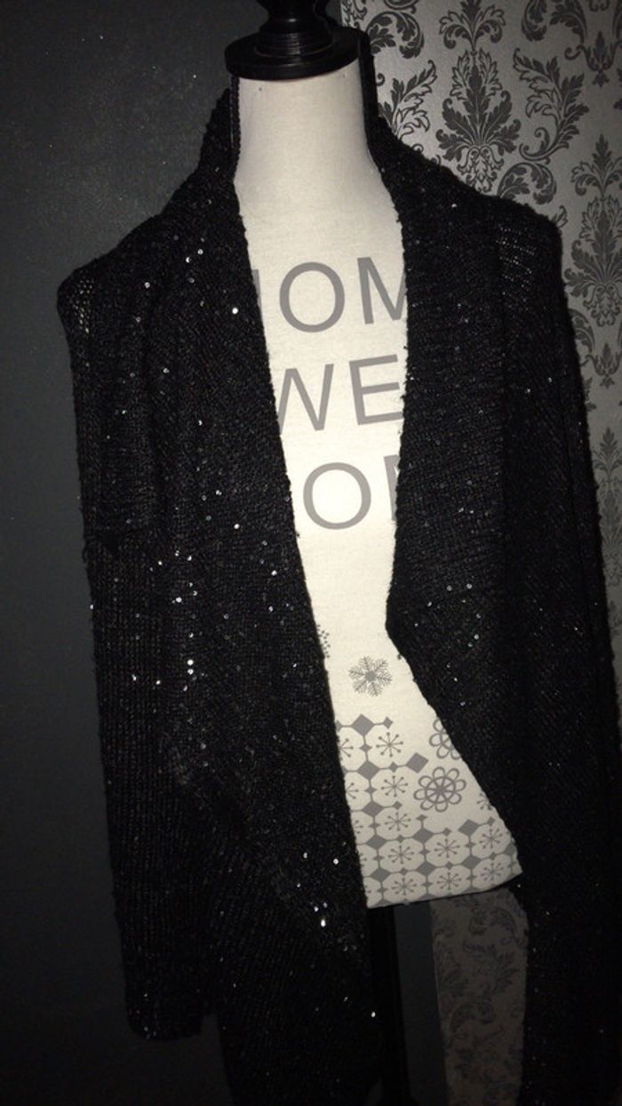 Gilet/veste taille 36 - photo numéro 2