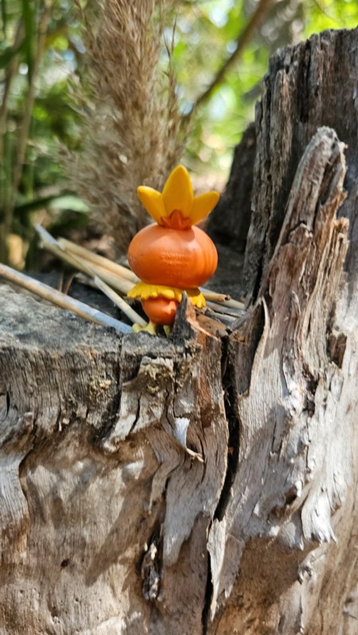 Super figurine Pokemon Nintendo Poussifeu - photo numéro 3