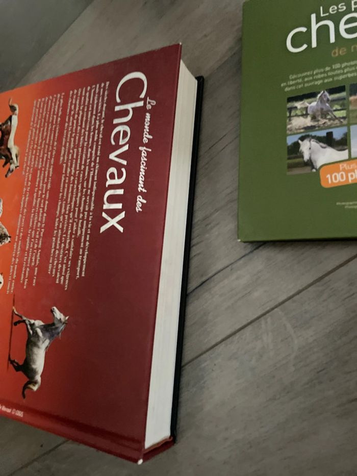 Lot de beaux livres pour passionnés de cheval chevaux équitation - photo numéro 6