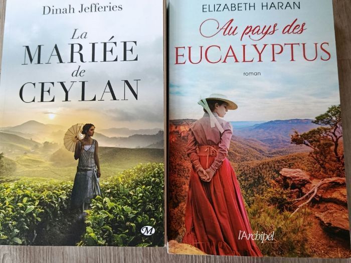 🤩🤩 Magnifique lot de de 10 romans 🤩🤩 - photo numéro 8