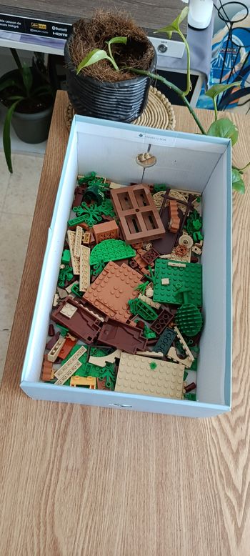 🚀 LEGO VRAC TRIÉ PAR COULEUR + PLAQUES – PRIX MINI 🔥