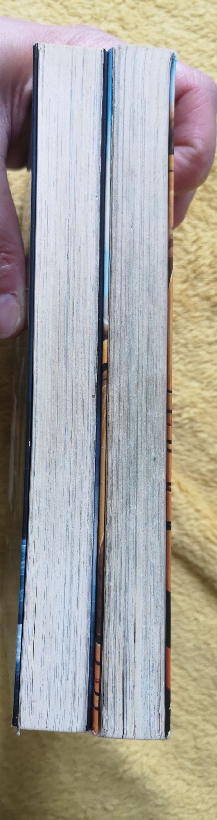 Mangas les mystérieuses cités d'or - photo numéro 10