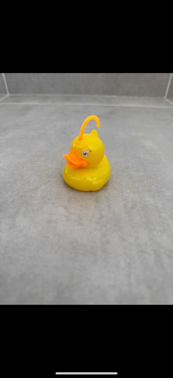 Canard flotteur pêche aux canards