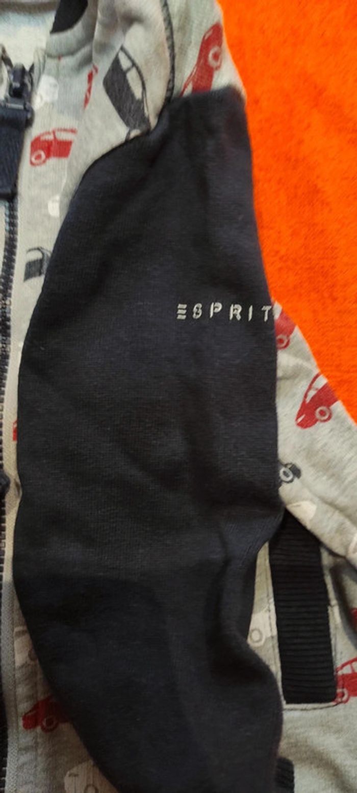 Veste zippée 🚗 Esprit 18 mois 86 cm - photo numéro 5