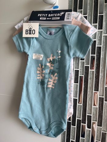 Lot de 3 bodies manches courtes Petit Bateau 6 mois Neufs