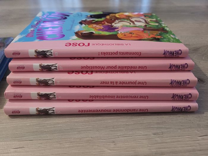 Mes amis les chevaux polly pocket - photo numéro 4