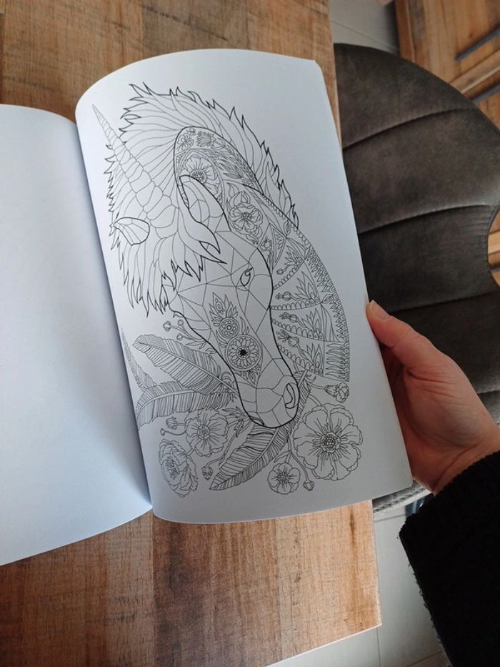 Libre de coloriage Licorne mandala et autres. - photo numéro 9