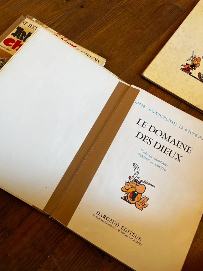 Astérix - photo numéro 5