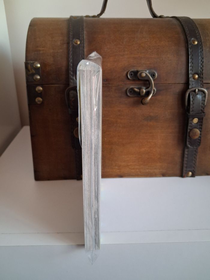 Manga Chainsaw Man tome 1 collector Variant italien discovery edition - photo numéro 3