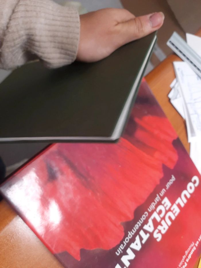 Livre l'Irlande un art de vivre - photo numéro 11