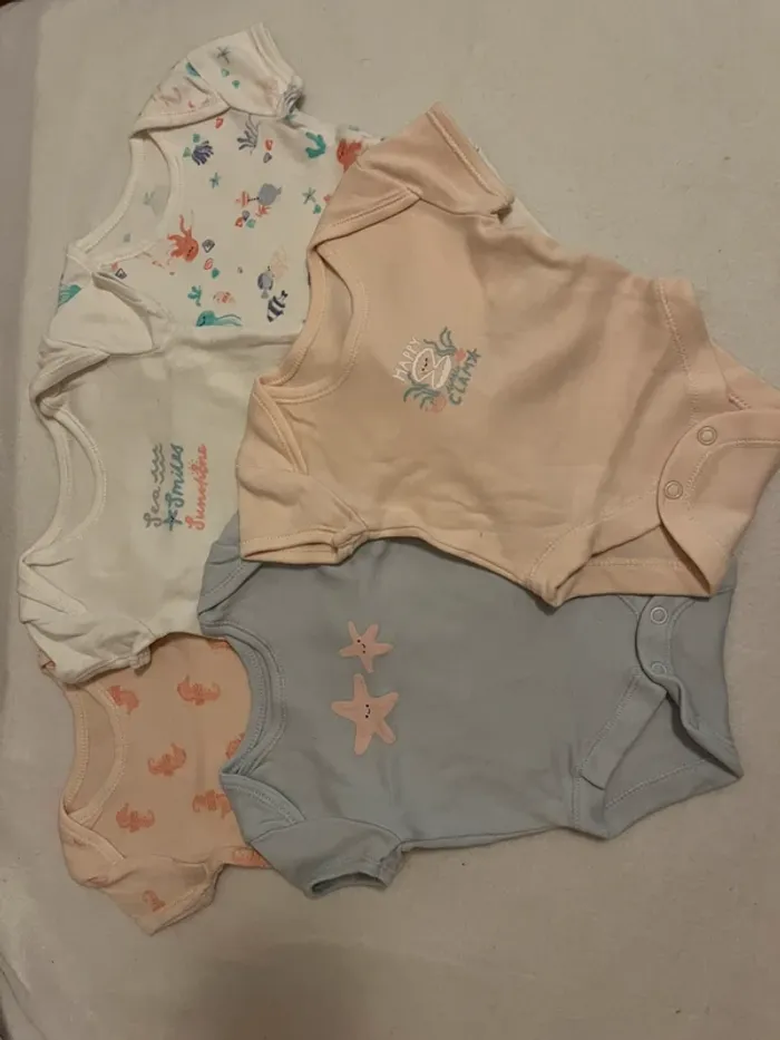 Lot bodys marin